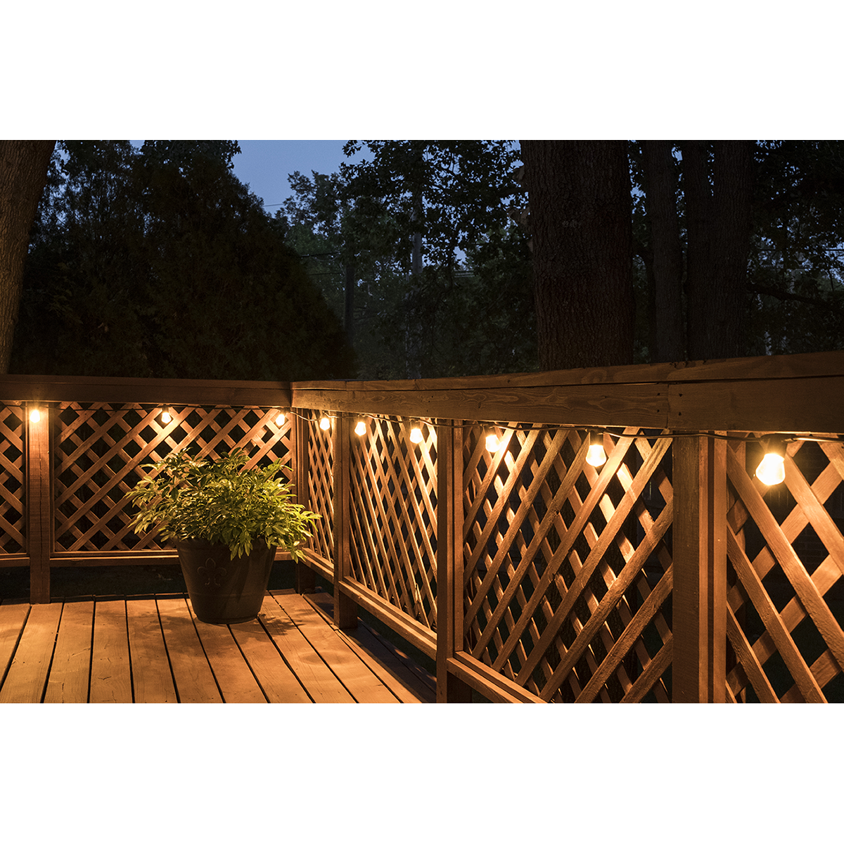 Lights by Night LED Bistro String Lights, 24 Bulbs, 48ft. Black Cord