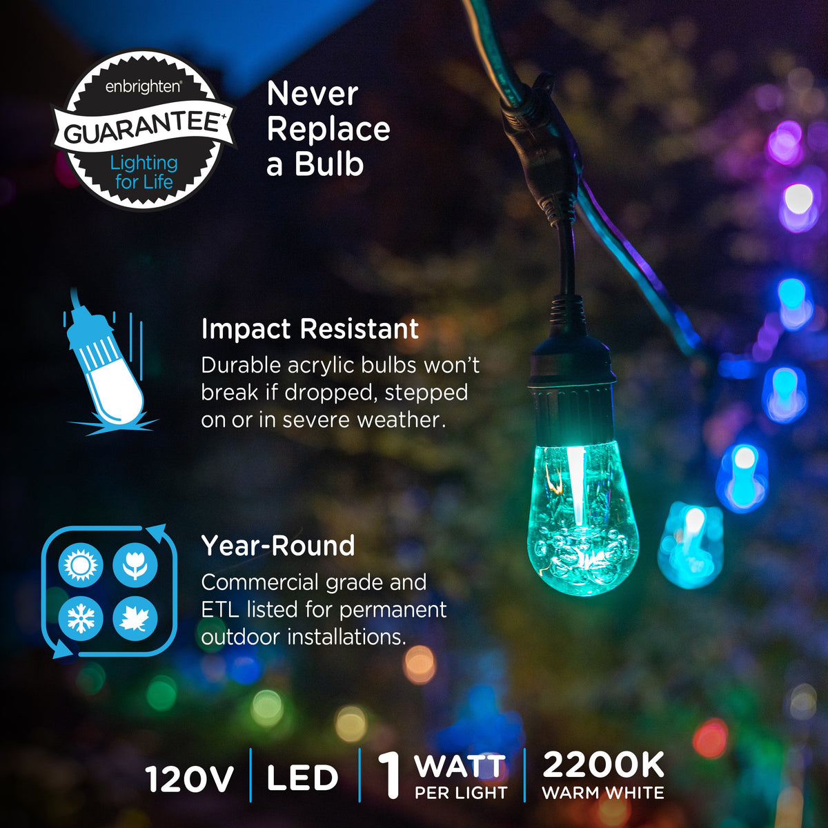 Enbrighten Seasons Color-Changing Vintage LED Cafe Lights, 12 Bulbs, 24ft. Black Cord