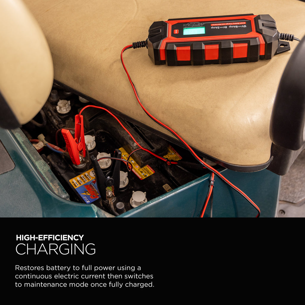 UltraPro Elite Smart Battery Charger and Maintainer, 6V/12V