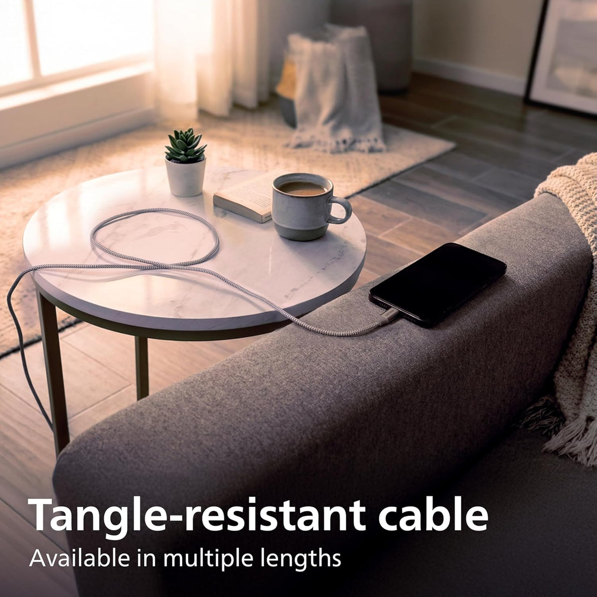 Philips Elite USB-C to USB-C Cable, 1ft, Braided Cord, Black/Gray Heather