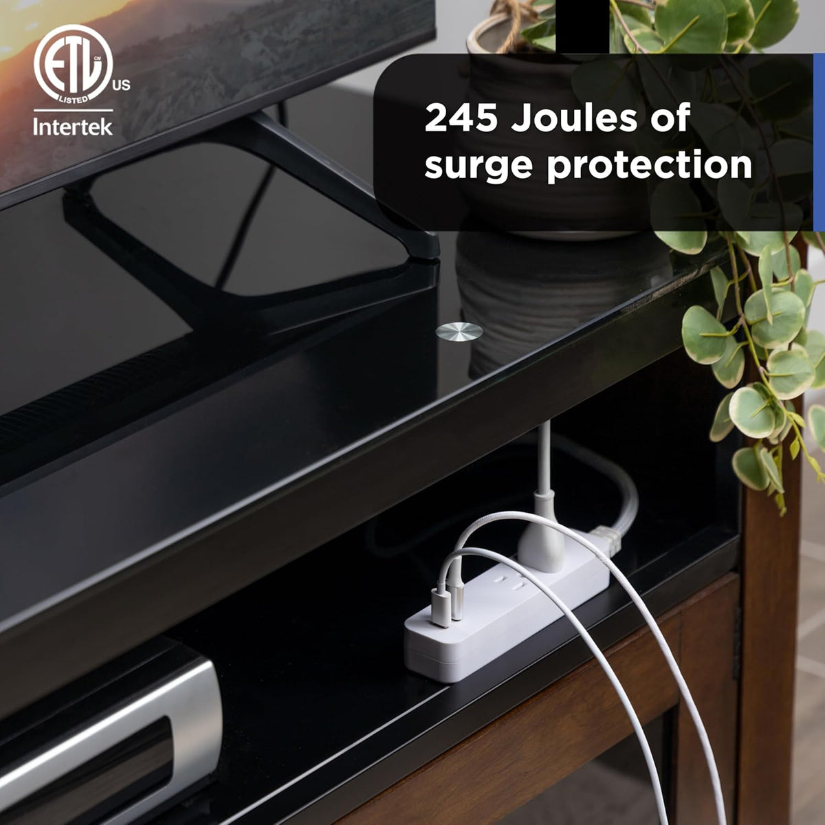 GE 2-Outlet 4ft. Surge Protector with USB Charging, White