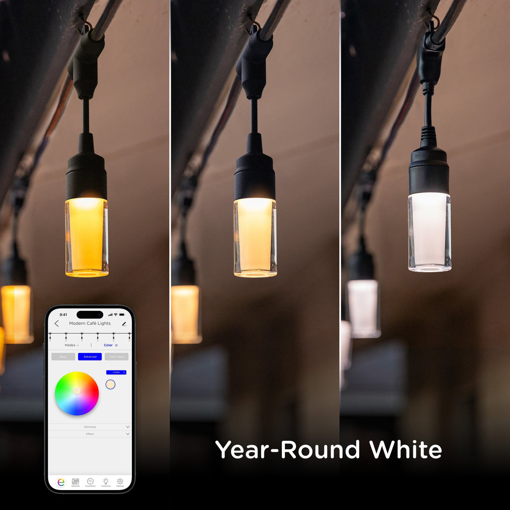 Enbrighten WiFi VIBE Modern Color-Changing LED Cafe Lights, 24 Bulbs, 48ft. Black Cord