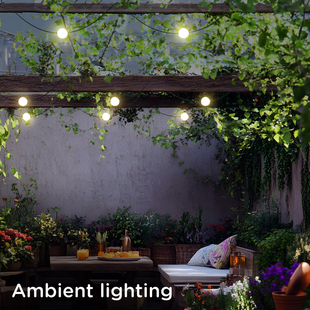 Enbrighten Warm White Globe String Lights 12 Bulbs, 44ft.