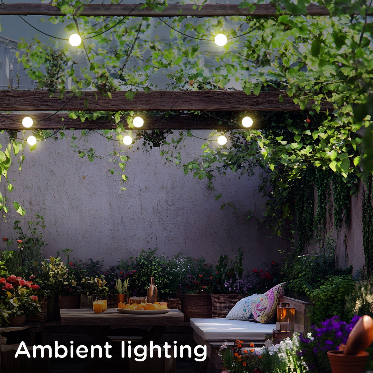 Enbrighten Warm White Globe String Lights 12 Bulbs, 44ft.