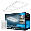 Rex Lights