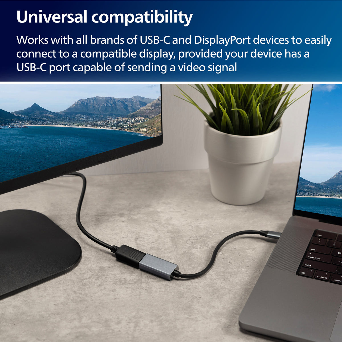 Philips USB-C to DisplayPort Adapter, 8K, 3pk