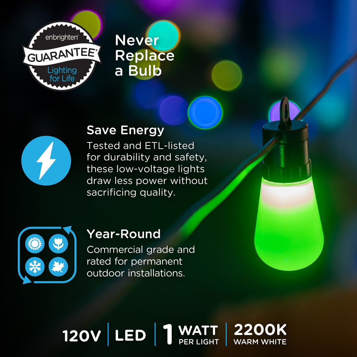 Enbrighten WiFi VIBE Color-Changing Lightweight LED Cafe Lights, 15 Plastic Bulbs, 48ft. Black Cord